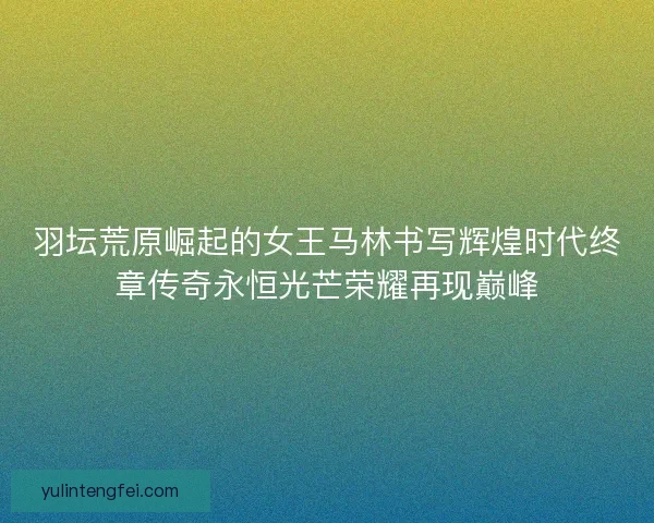 羽坛荒原崛起的女王马林书写辉煌时代终章传奇永恒光芒荣耀再现巅峰